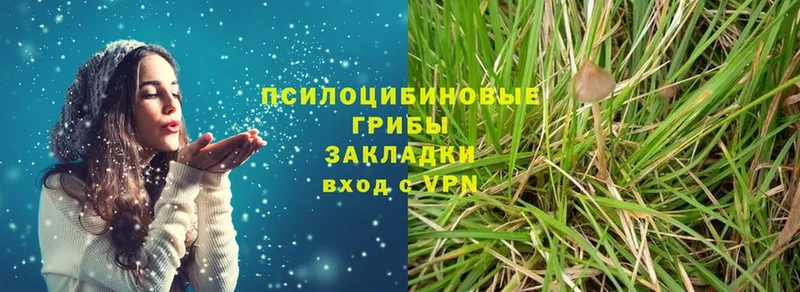 Псилоцибиновые грибы Magic Shrooms  кракен зеркало  Вольск  где продают наркотики 